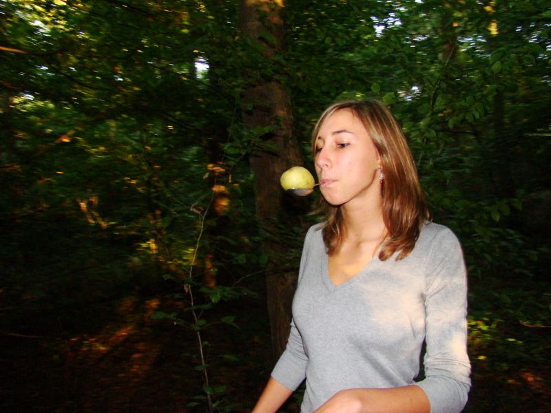 L'image ne s'affiche pas: contacter moi par mail pour rem�dier au plus vite � ce probl�me